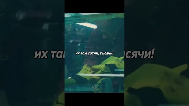 😳 Пираньи ВОЗВРАЩАЮТСЯ и сеют хаос в озере #ужасы #триллер #монстры