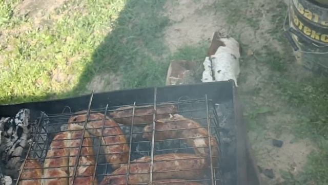 шпикачки