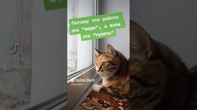 Мудрости от БуянСони