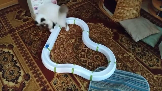 вечный двигатель