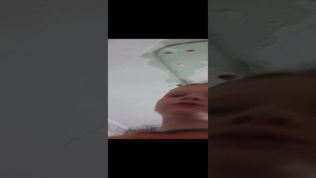 VID_20241227_170405.mp4