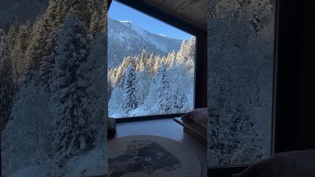 💛Счастье не приходит. 
А приходит умение его видеть.

Доброе утро❤️