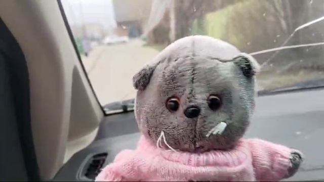 кот Басик едет за Аней