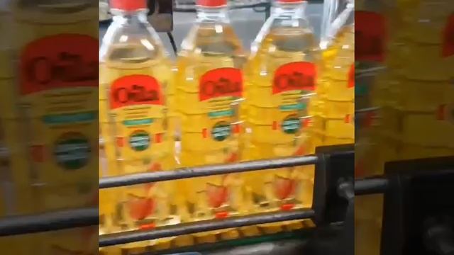 Конвейерное оборудование полного цикла из Ирана