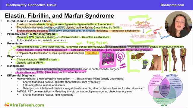 Marfan Syndrome atf