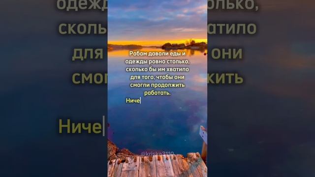 Цитата