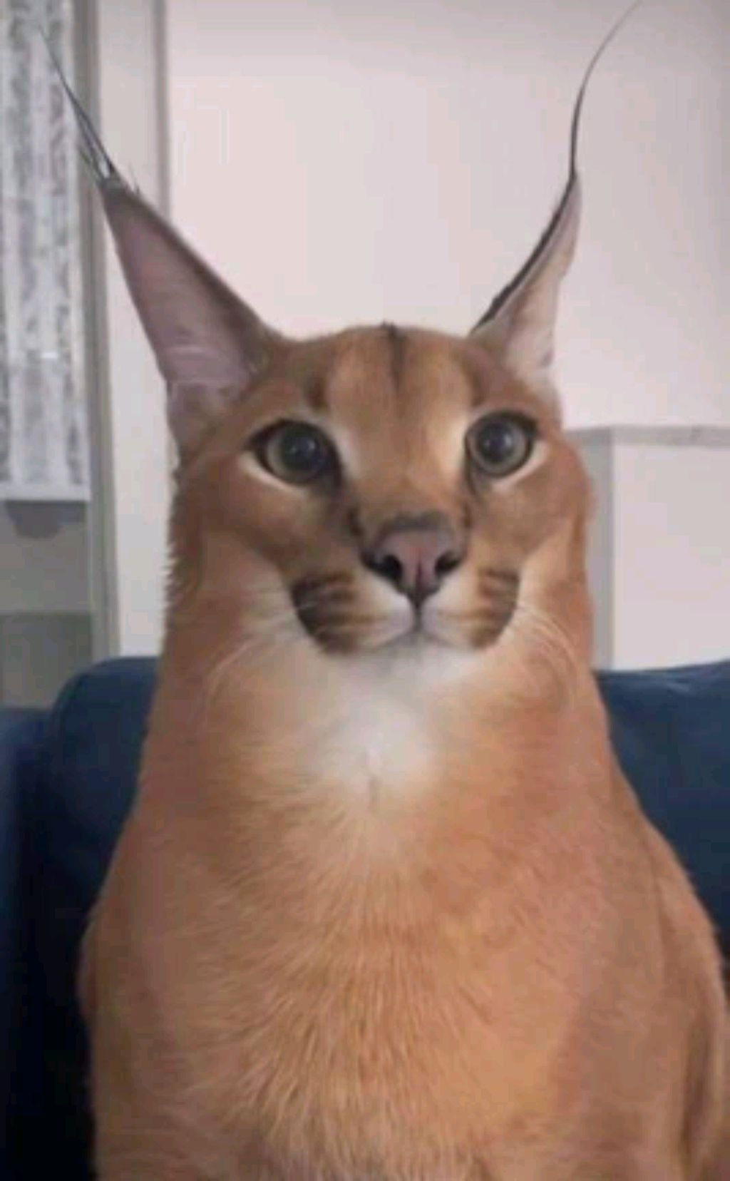 егор