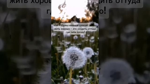29 сентября 2024 г.