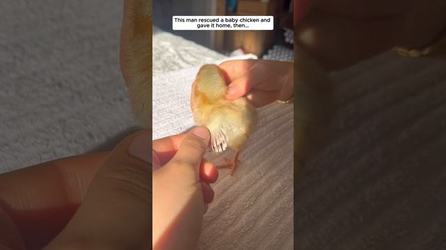 видео не моё