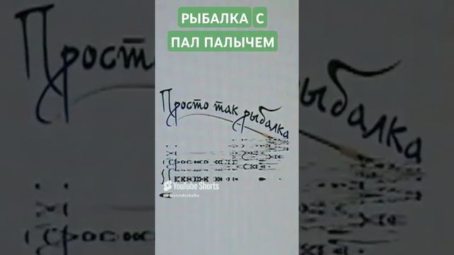 РЫБАЛКА С ПАЛ ПАЛЫЧЕМ!