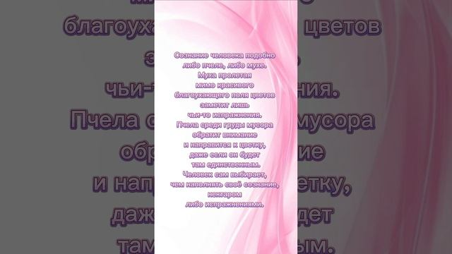 Мы выбираем, чем наполнять своё сознание.