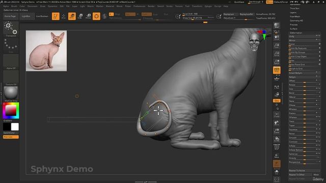 34. Sphynx Sculpt Demo