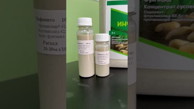 Инфинито