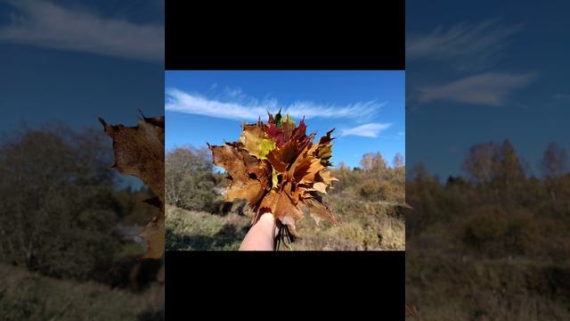 1000003307.mp4