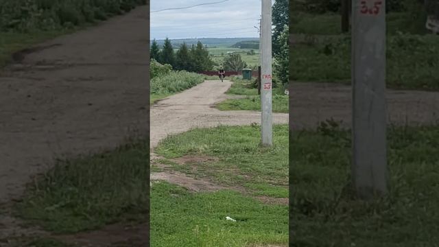 тест драйв велосипеда с двигателем от бензопилы