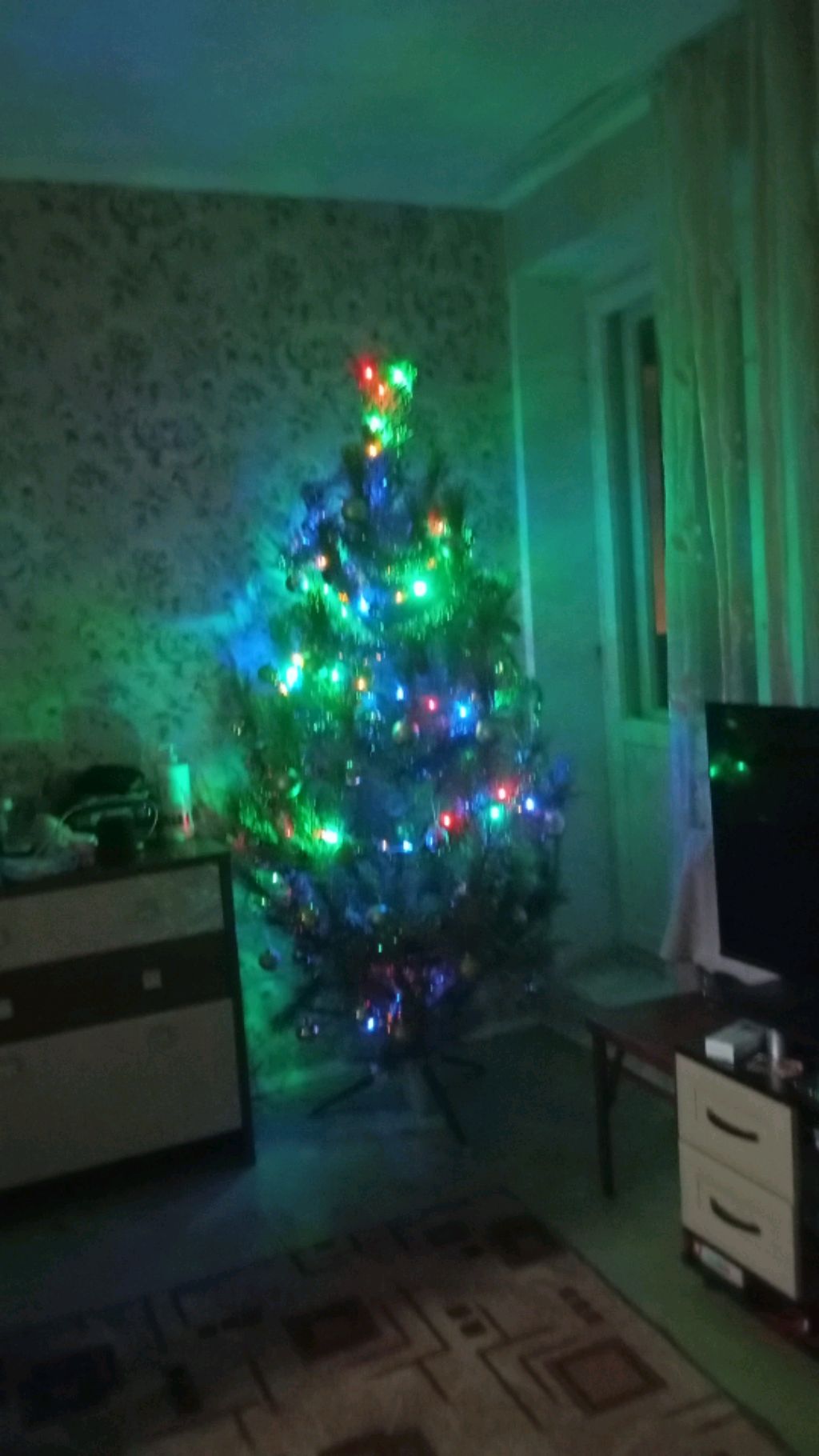 🎄🌲🎄🌲