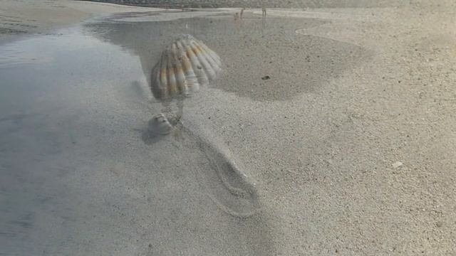 по воде