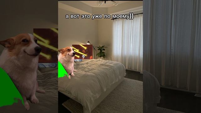 Моё первое видео!