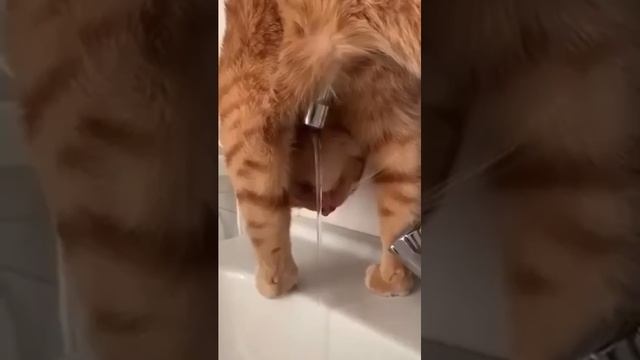 Интересныи способ «водички попить» 🤣