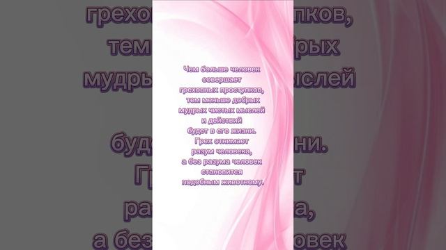 Грех отнимает разум человека.