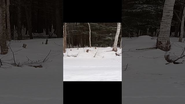 1000000583.mp4