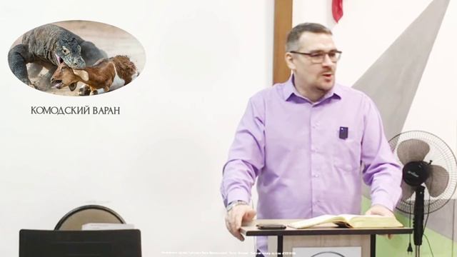 "Огонь за пазухой"