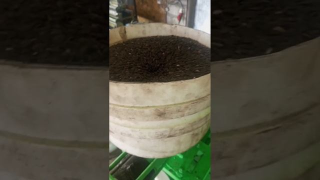 Крайнее видео по 120 маслопрессу