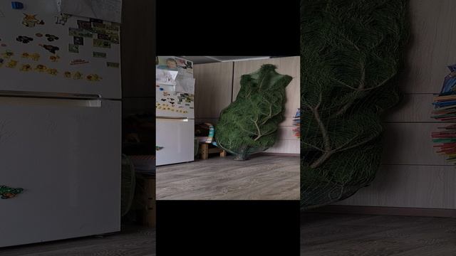 1000011249.mp4
