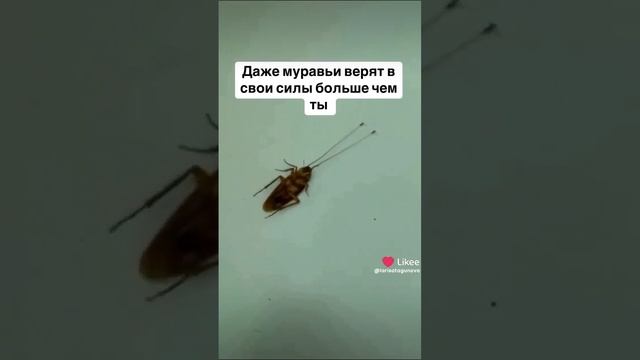 Сила желания