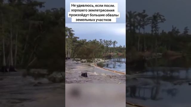 Наш парк обладает сознанием?