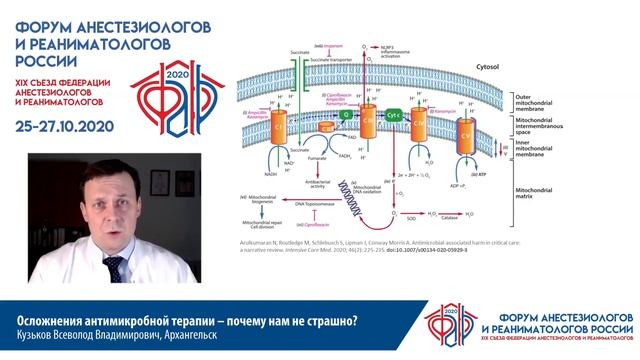 Осложнения антимикробной терапии Кузьков В.В.