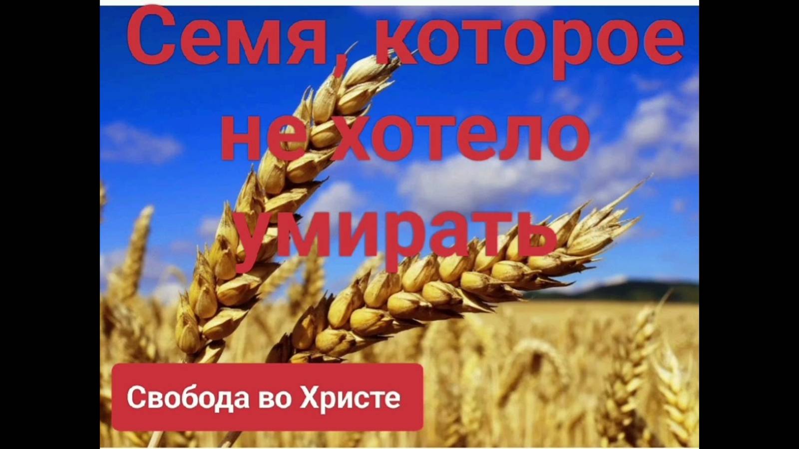 Семя, которое не хотело умирать. Олег Мамонтов.