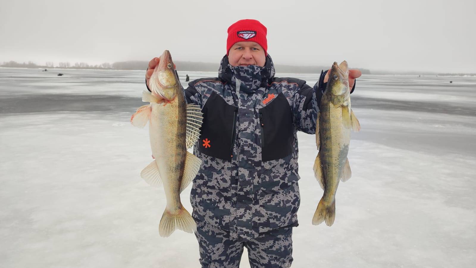 Предновогодняя раздача судака на Рузском водохранилище. 28.12.24