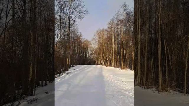 Лыжный спорт ⛷️🇷🇺