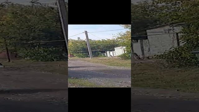 1000012205.mp4