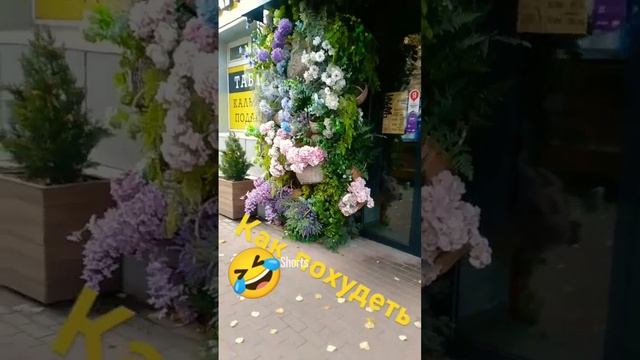 scene_output.mp4Как не жрать то 🤣