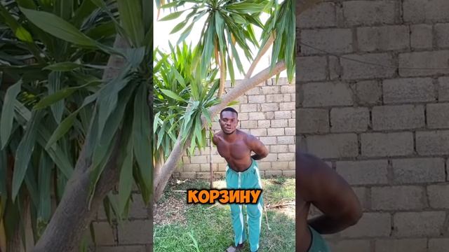 Поздравления из Африки 🌴🎁