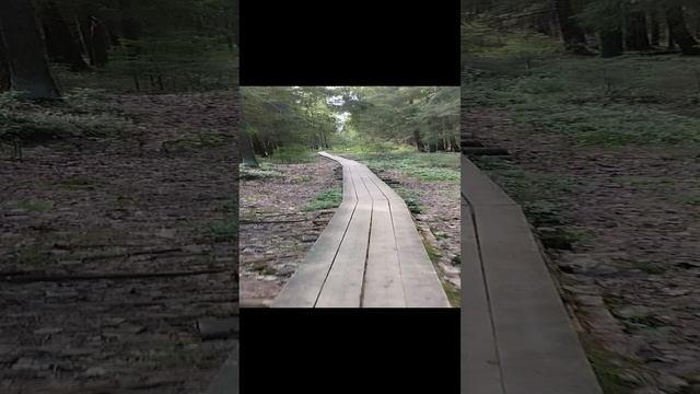 1000025912.mp4