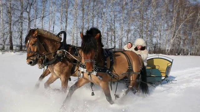 Владимир Ефимов-"Тройка Русь" Ансамбль-"Дружина"