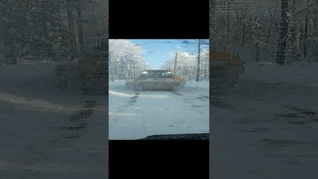 VID_20241223_125235.mp4