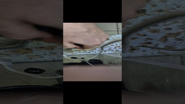 1000027472.mp4