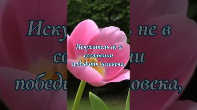 Вдохновлённые победой Христа... | Эллен Уайт о Боге, спасении, вечности