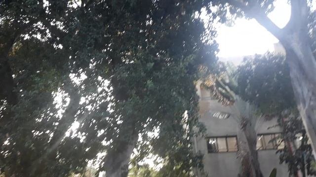 20241209_160209.mp4