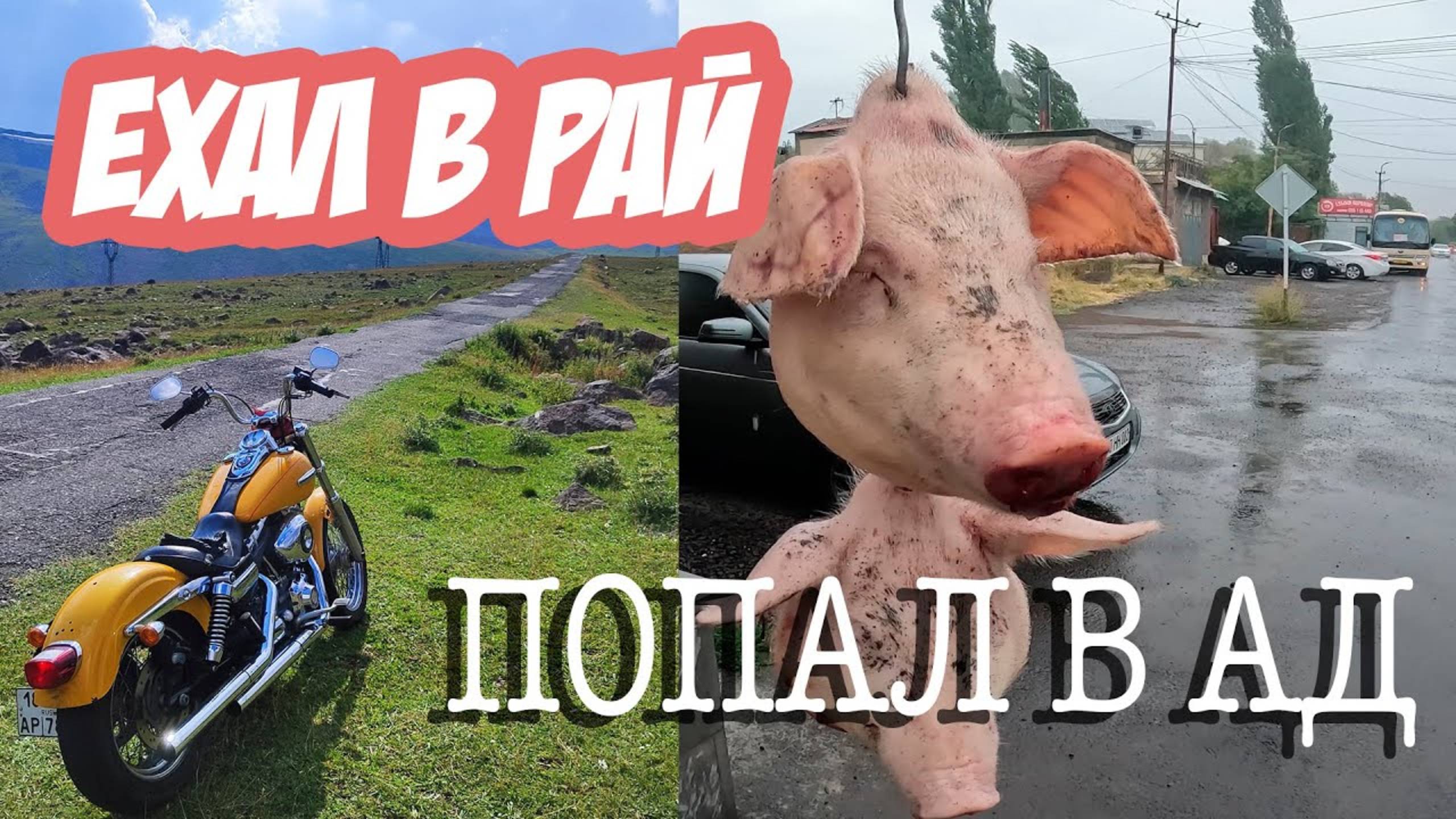 Один день из жизни глупого, голодного, усатого, женатого байкера☔️
