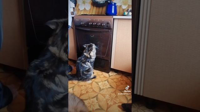 1000003540.mp4