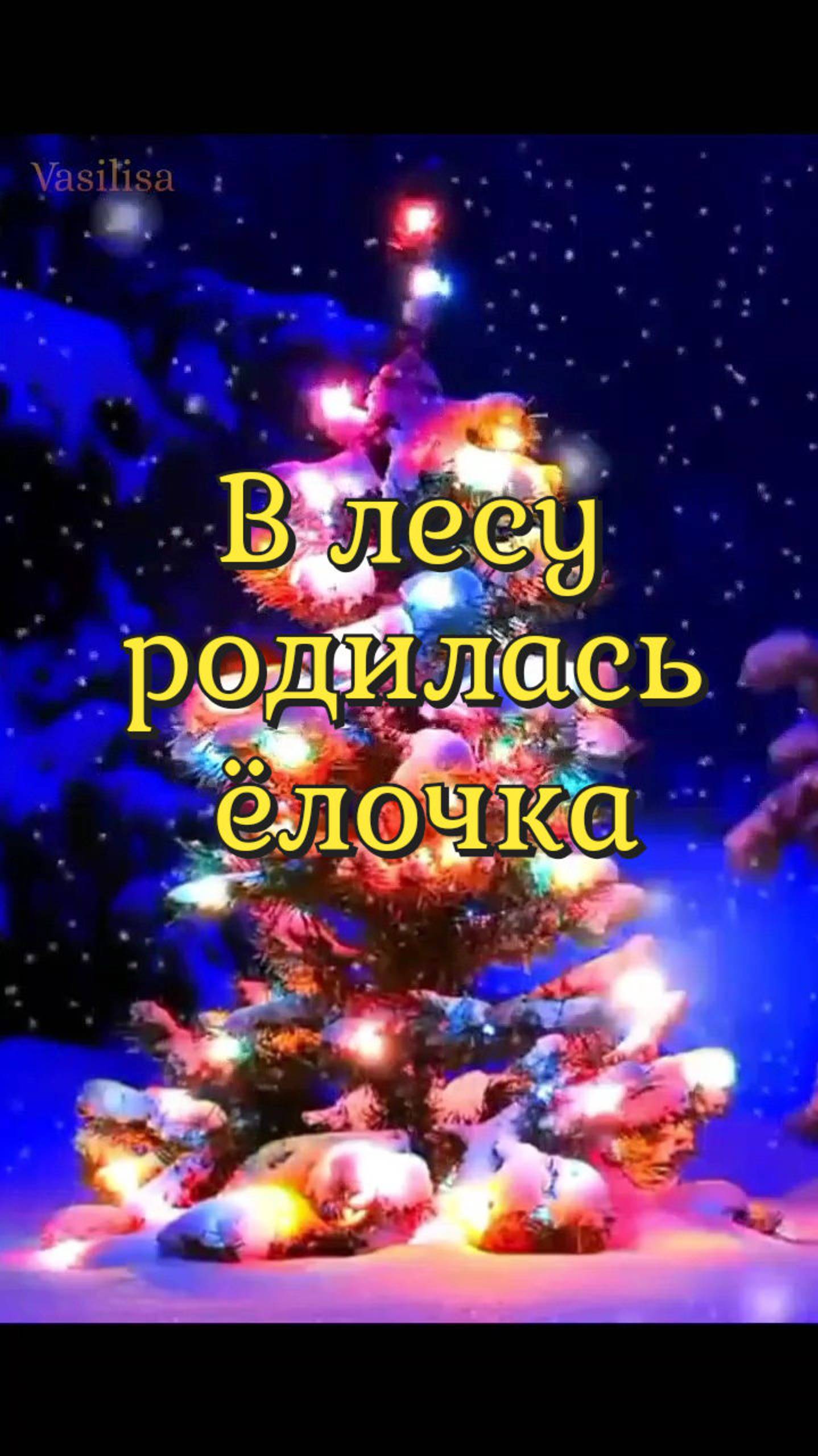 В лесу родилась ёлочка 🌲