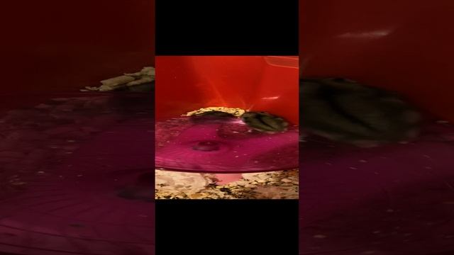28-12-2024