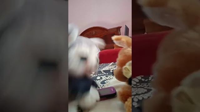 Сколько можно вам говорить