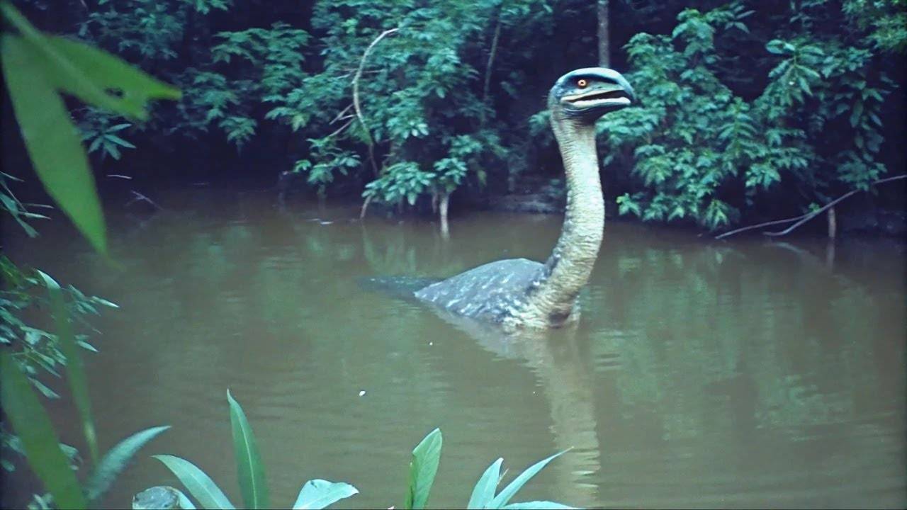 100 Самых Опасных и Пугающих Существ Амазонки, Снятых на Камеру