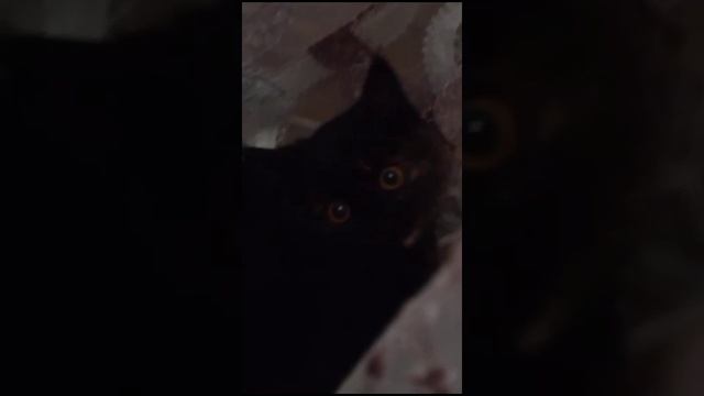 вот моя милашка